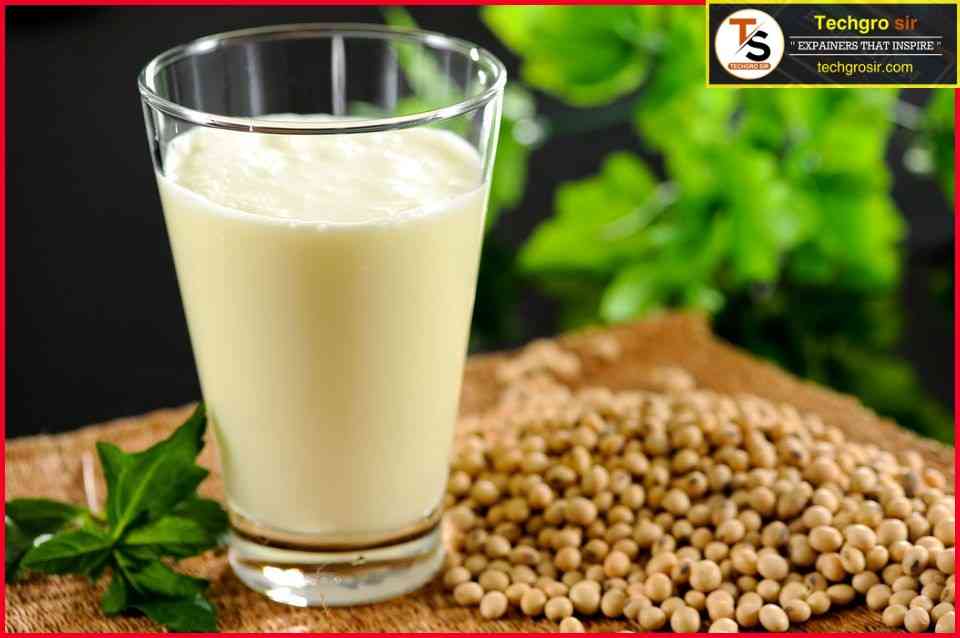 10 Healthy Processed Foods You Should Add to Your Diet 4 Processed Foods