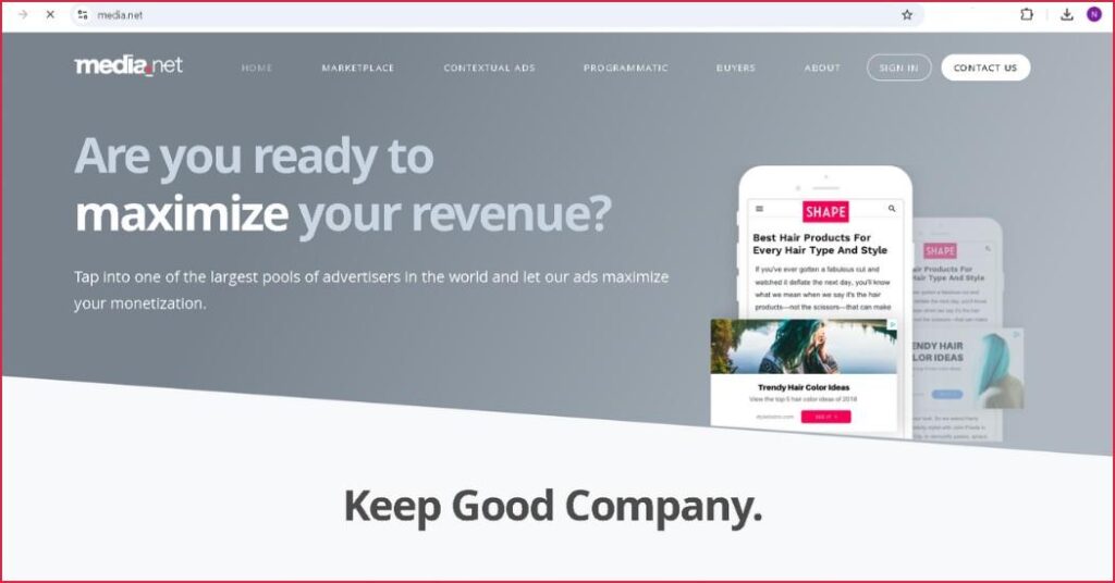 7 Best Google AdSense Alternatives To Boost Your Earning 2 AdSense