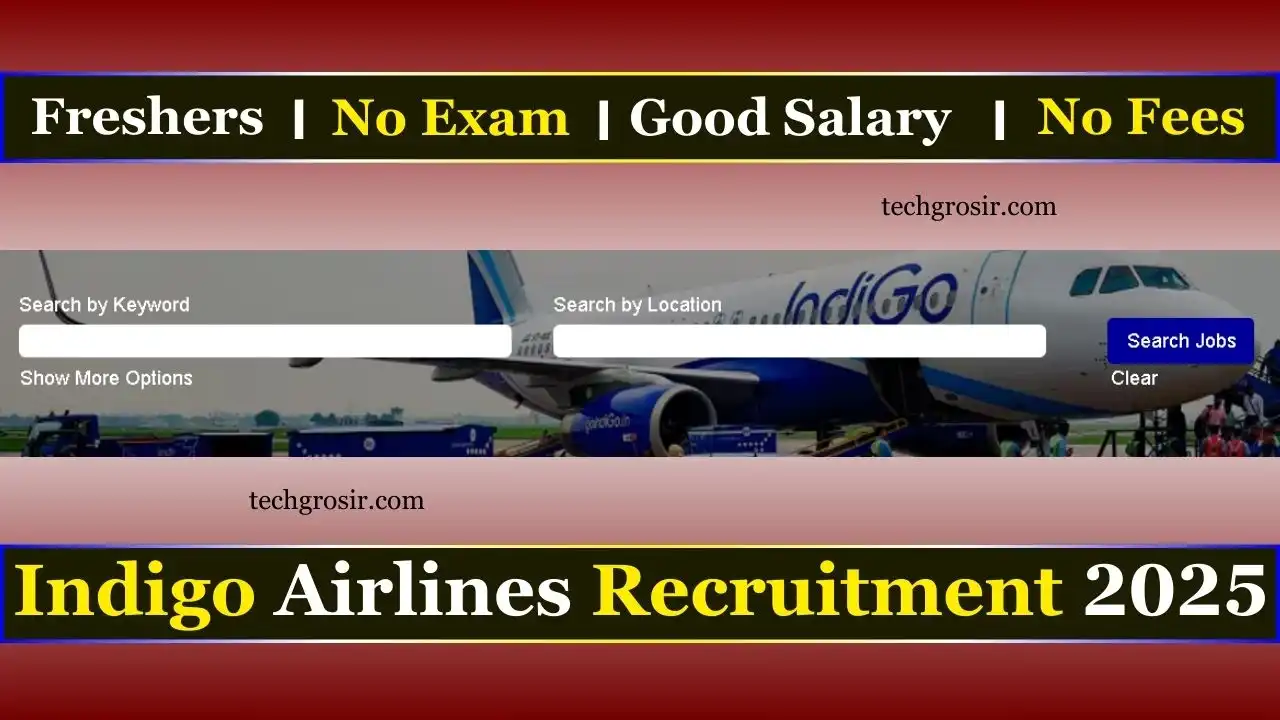 Indigo Airlines Job 2025