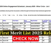 India Post GDS Result 1st Merit List 2025 Out - Check Your Name Now! India Post GDS Result 1st Merit List